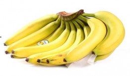 久久香蕉国产,生态农业的典范之路