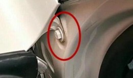 国产18p,探索中国影视产业的创新与突破