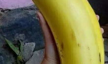 91大香蕉国产,揭秘神秘国度的风土人情