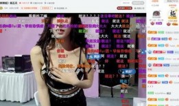 国产主播VIP,揭秘网红经济新趋势