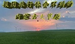 国产美女骑小马,国产美女与萌宠小马的甜蜜邂逅