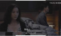 国产夫妇有对白视频,演绎平凡生活中的浪漫瞬间