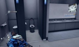 国产厕所在线,创新设计引领绿色环保新潮流